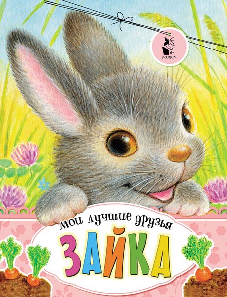 Обложка книги  «Зайка»