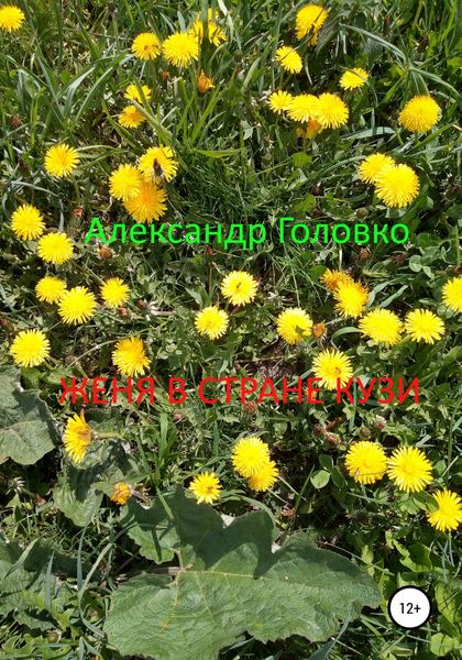 Обложка книги  «Женя в стране Кузи»