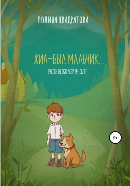 Обложка книги  «Жил-был мальчик»