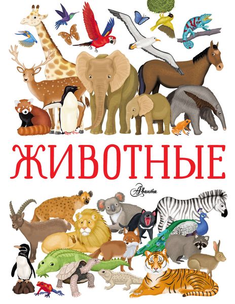 Обложка книги  «Животные»