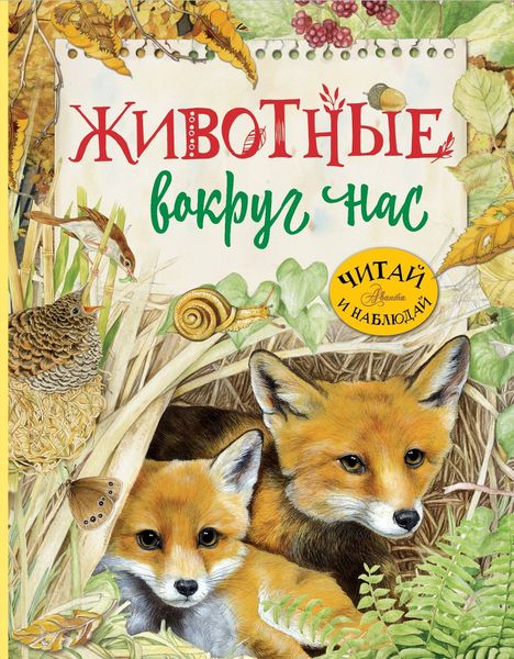 Обложка книги  «Животные вокруг нас»
