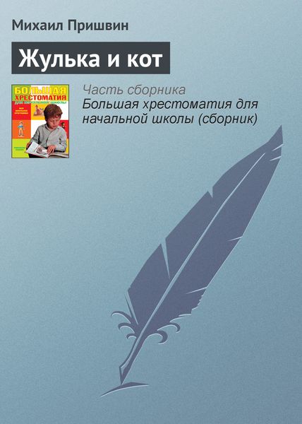 Обложка книги  «Жулька и кот»