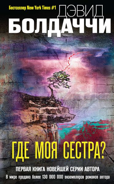 Обложка книги  «Где моя сестра?»