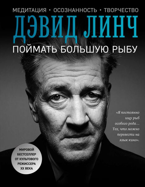 Обложка книги  «Поймать большую рыбу. Медитация, осознанность, творчество»