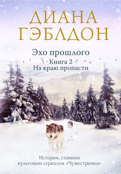 Обложка книги «Эхо прошлого. Книга 2. На краю пропасти»