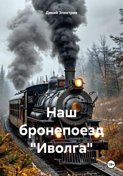 Обложка книги  «Наш бронепоезд «Иволга»»
