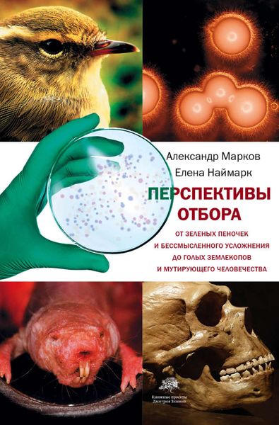 Обложка книги  «Перспективы отбора»