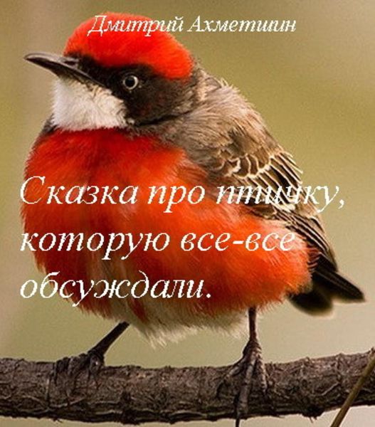 Обложка книги  «Сказка про птичку, которую все-все обсуждали»