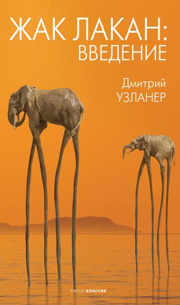 Обложка книги  «Жак Лакан: введение»