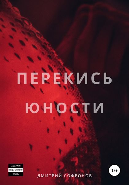 Обложка книги  «Перекись юности»