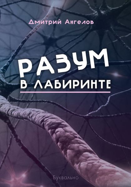 Обложка книги  «Разум в лабиринте»