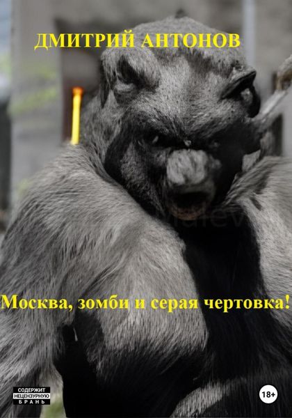 Обложка книги  «Москва, зомби и серая чертовка!»