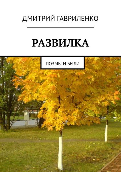 Обложка книги «Развилка. Поэмы и были»