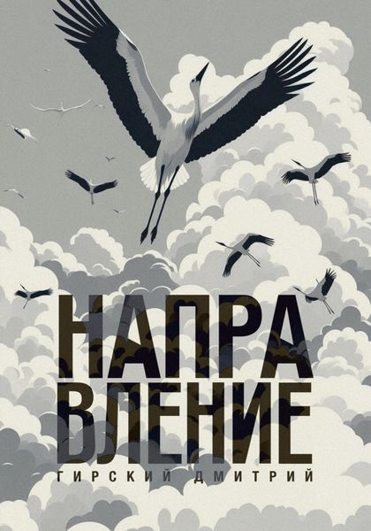 Обложка книги  «Направление 3»