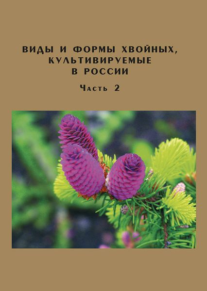 Обложка книги «Виды и формы хвойных, культивируемые в России. Часть 2. Picea A. Dietr., Thuja L.»