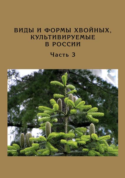 Обложка книги «Виды и формы хвойных, культивируемые в России. Часть 3. Abies Mill., Chamaecyparis Spach»
