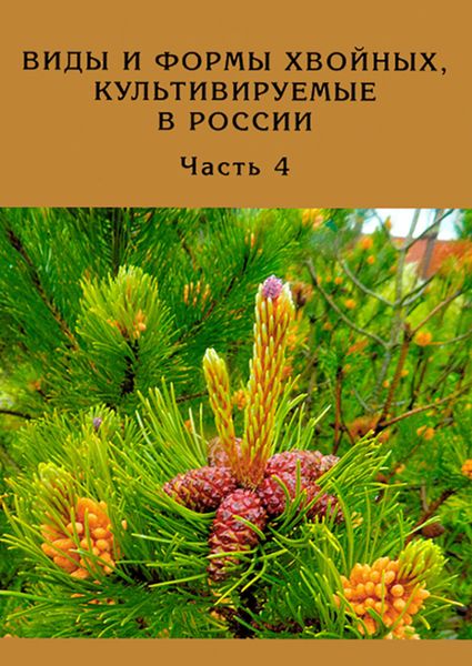 Обложка книги «Виды и формы хвойных, культивируемые в России. Часть 4»