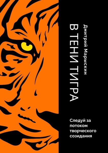 Обложка книги «В тени Тигра»