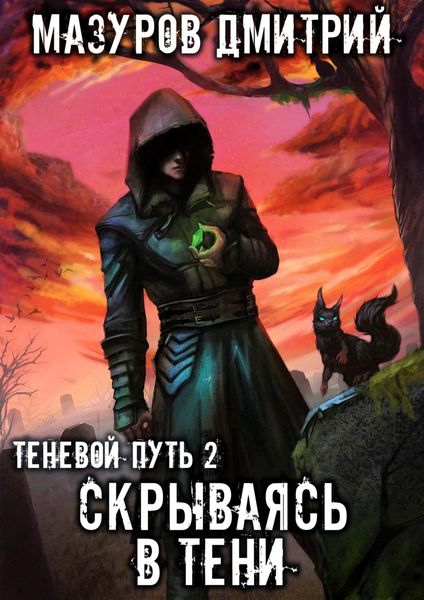 Обложка книги «Скрываясь в тени»
