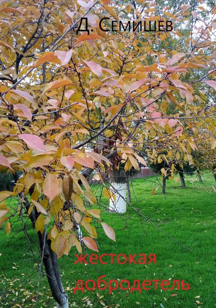 Обложка книги  «Жестокая добродетель»