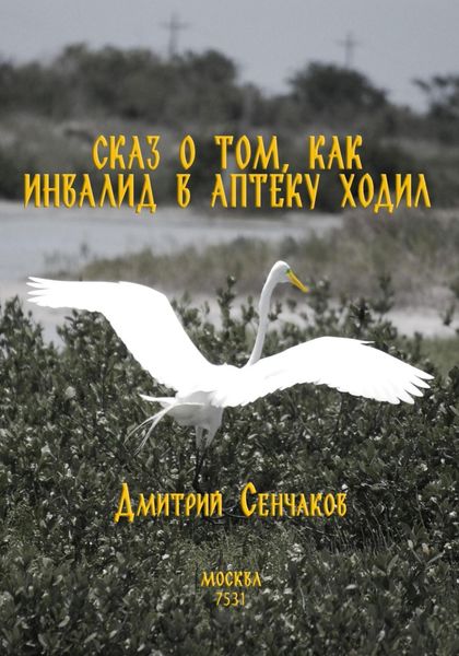 Обложка книги «Сказ о том, как инвалид в аптеку ходил»