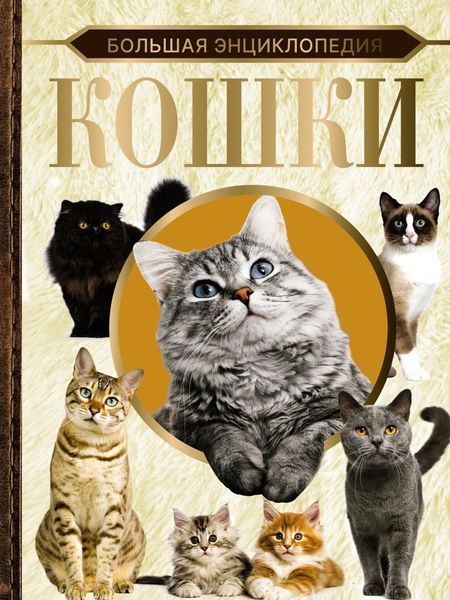 Обложка книги «Большая энциклопедия. Кошки»