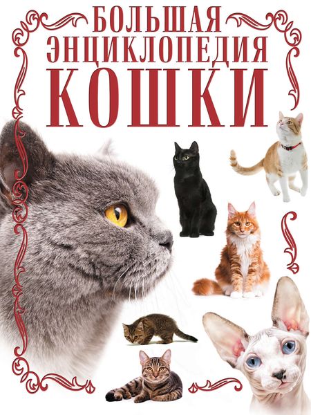 Обложка книги «Кошки. Большая энциклопедия»