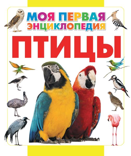 Обложка книги  «Птицы»