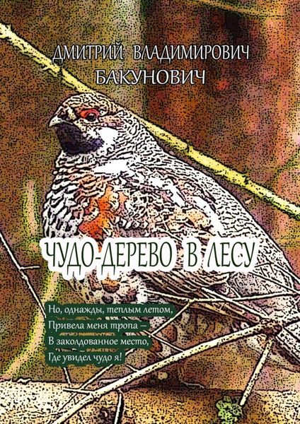 Обложка книги  «Чудо-дерево в лесу»