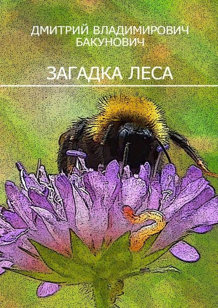 Обложка книги  «Загадка леса»