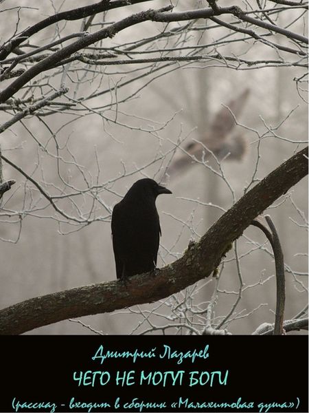 Обложка книги  «Чего не могут боги»