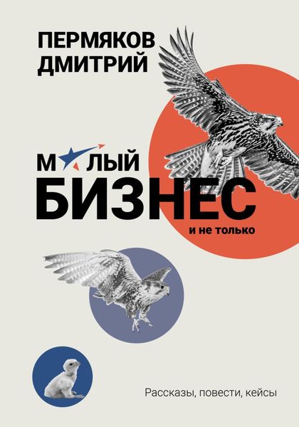 Обложка книги «О бизнесе на примерах. Сборник рассказов»