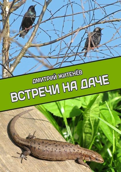 Обложка книги «Встречи на даче»