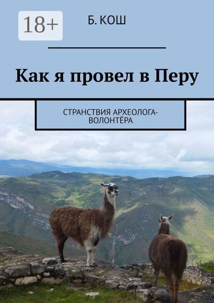 Обложка книги  «Как я провел в Перу. Странствия археолога-волонтёра»