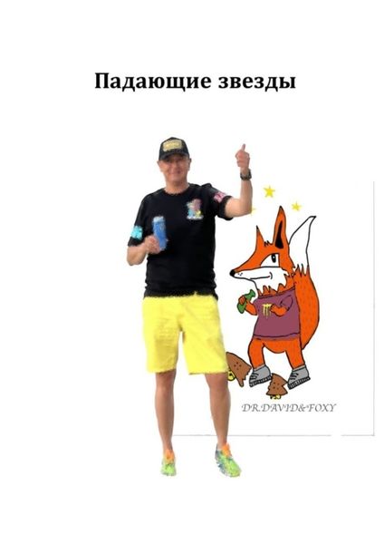 Обложка книги  «Падающие звезды»