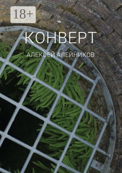 Обложка книги  «Конверт»