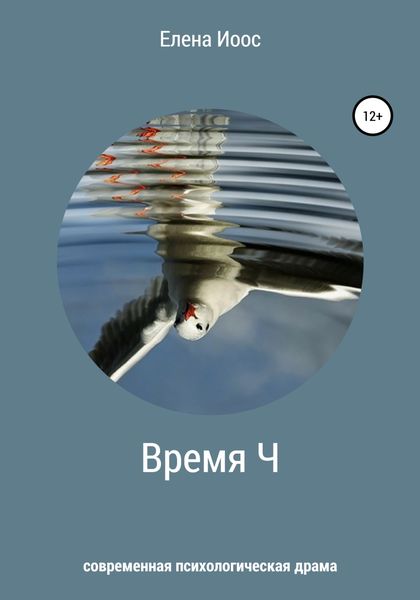 Обложка книги  «Время Ч»