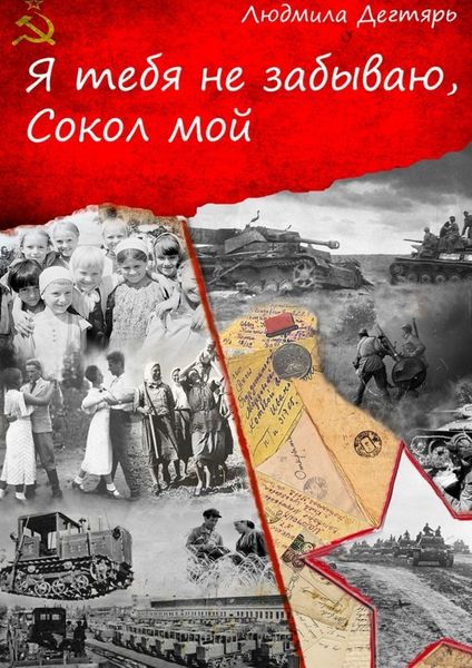 Обложка книги  «Я тебя не забываю, Сокол мой»