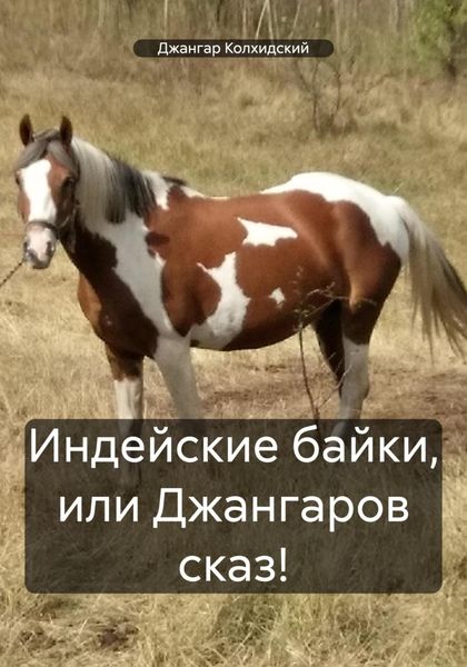 Обложка книги  «Индейские байки, или Джангаров сказ!»