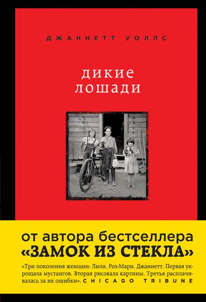 Обложка книги  «Дикие лошади. У любой истории есть начало»