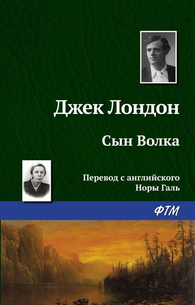 Обложка книги  «Сын Волка»