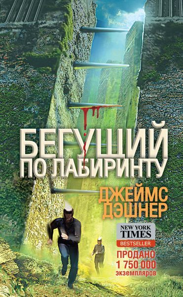 Обложка книги «Бегущий по Лабиринту»