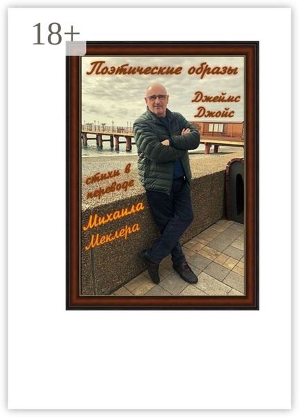 Обложка книги «Поэтические образы»