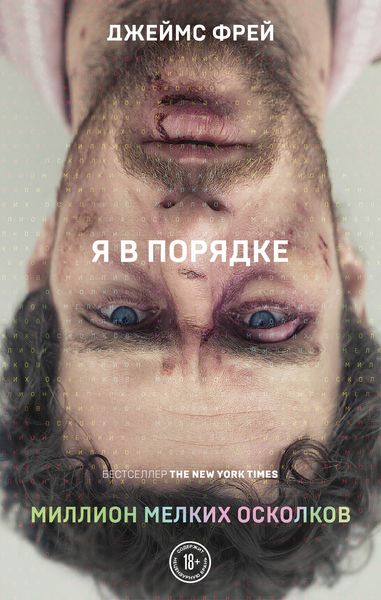 Обложка книги  «Миллион мелких осколков»