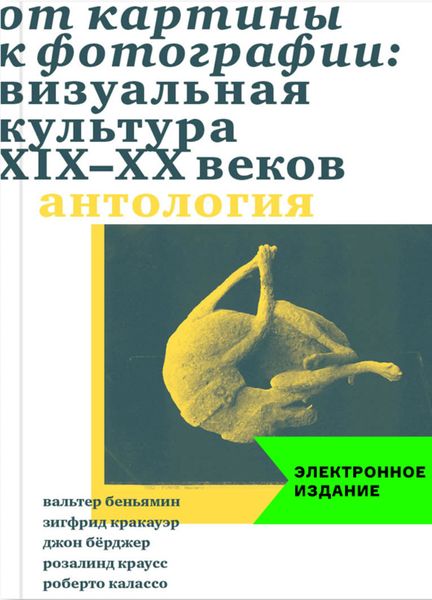 Обложка книги «От картины к фотографии: визуальная культура XIX-XX веков»