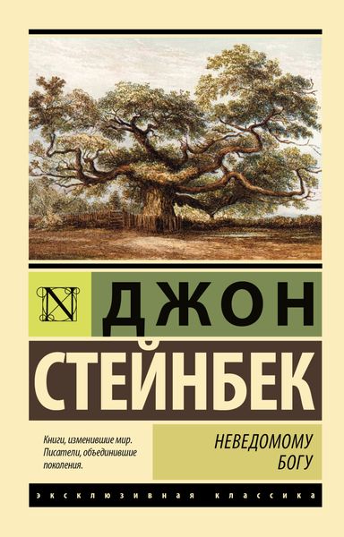 Обложка книги  «Неведомому Богу»