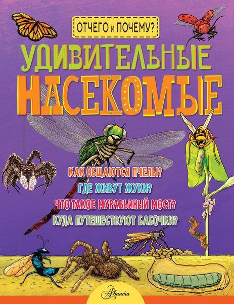 Обложка книги «Удивительные насекомые»