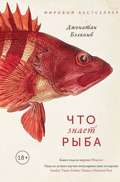 Обложка книги «Что знает рыба»