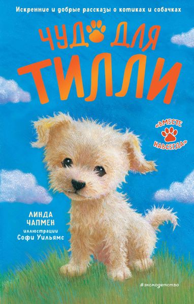 Обложка книги  «Чудо для Тилли»