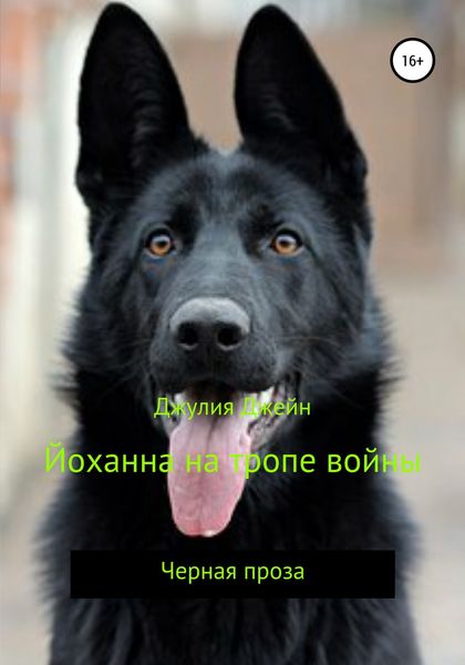 Обложка книги «Йоханна на тропе войны»